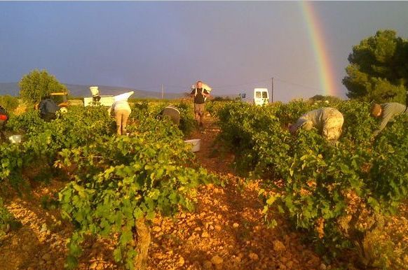 Domaine Boudau Rivesaltes