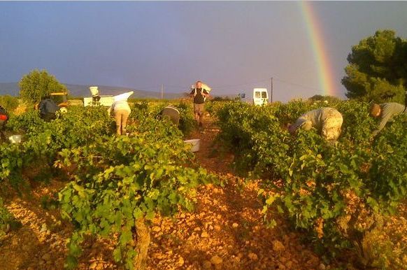 Domaine Boudau Rivesaltes